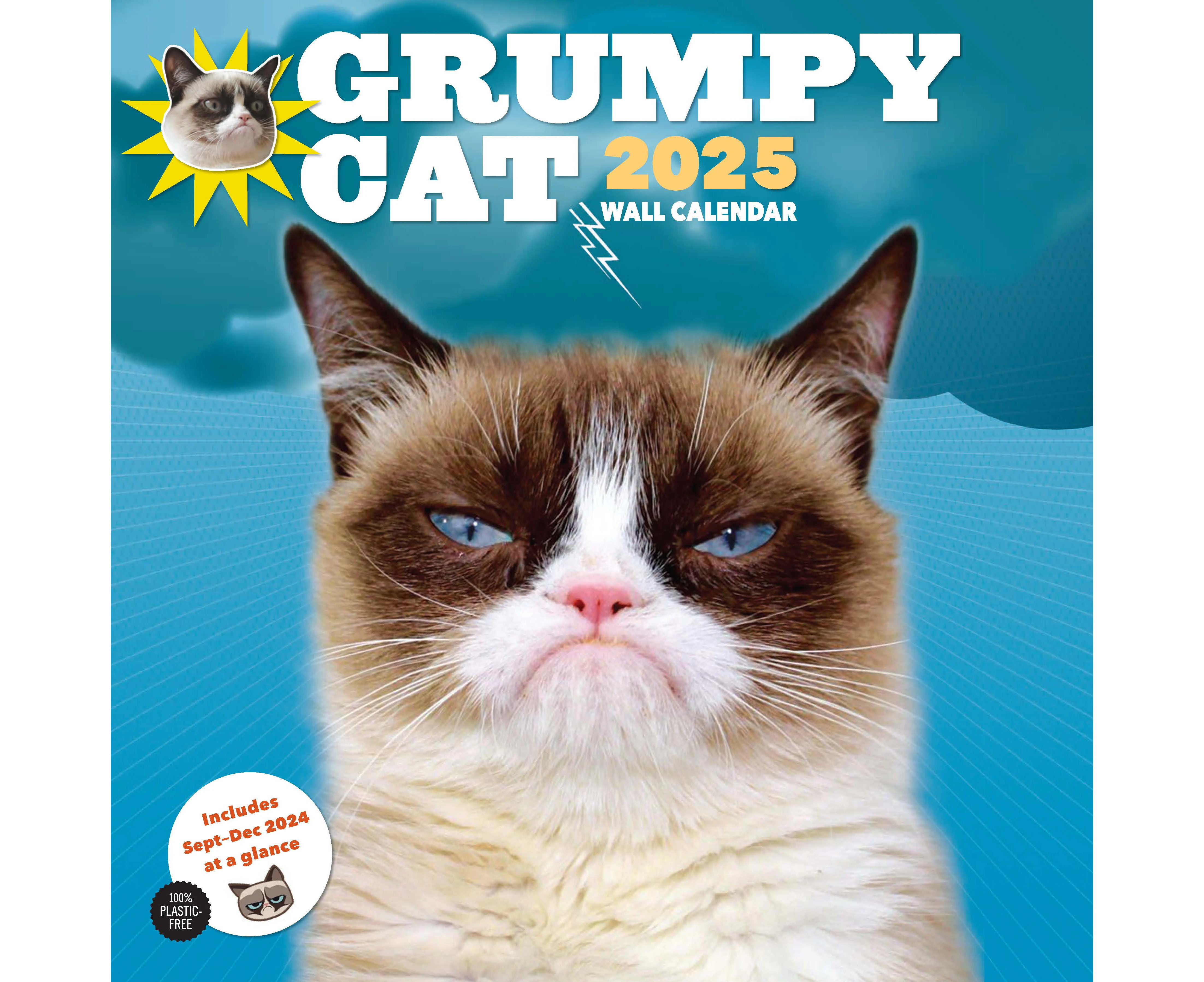 2025 Grumpy Cat Wall Calendar