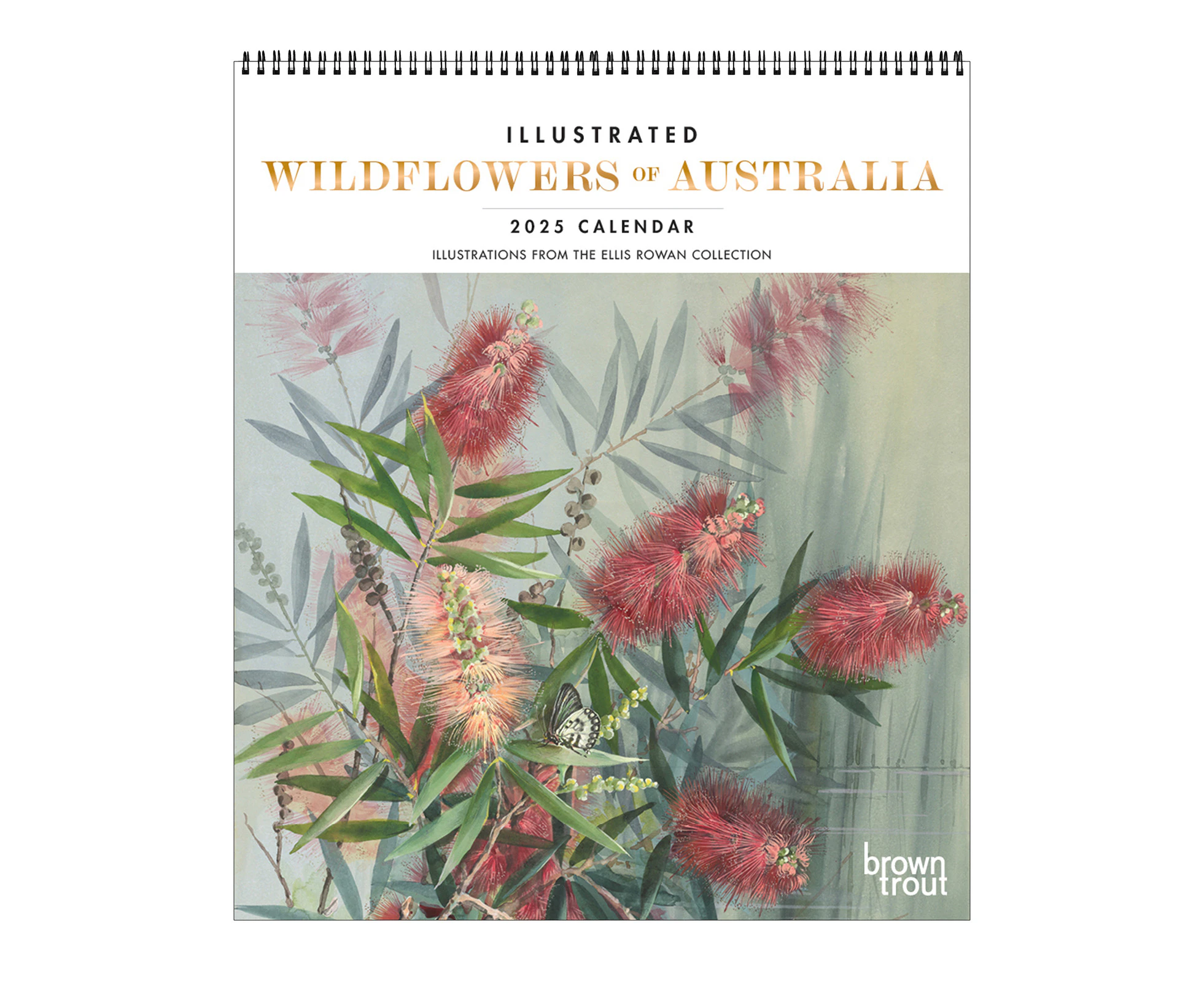 2025 Calendar Illustrated Wildflowers of Australia Deluxe Wall Browntrout A04213