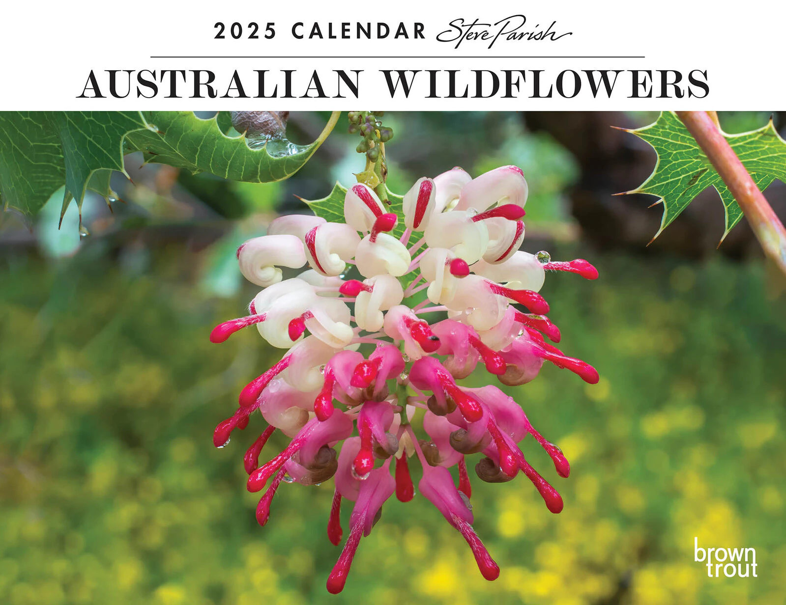 2025 Calendar Steve Parish Australian Wildflowers Horizontal Wall Browntrout A04299