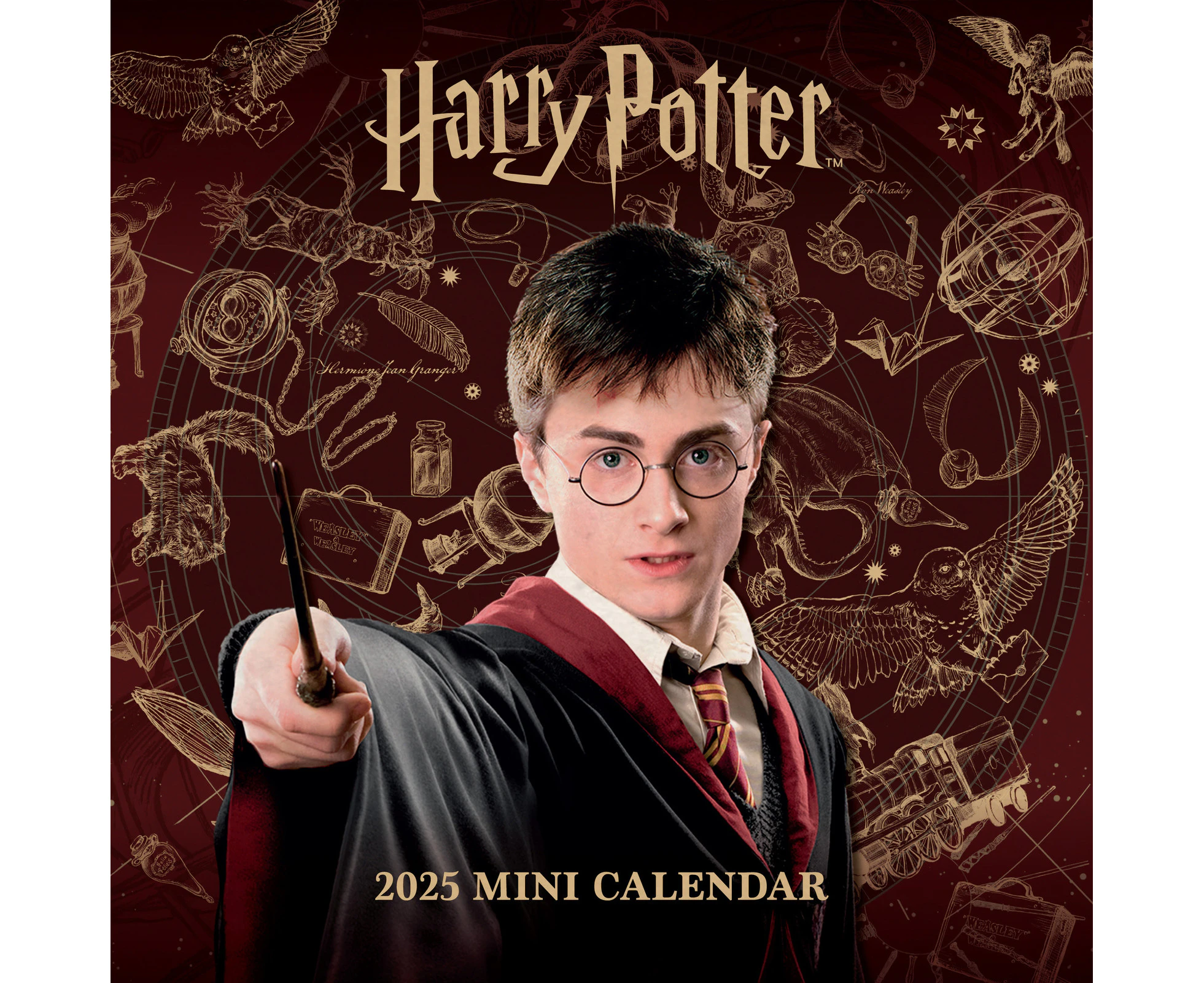 2025 Calendar Harry Potter Official Mini Wall Danilo I71568