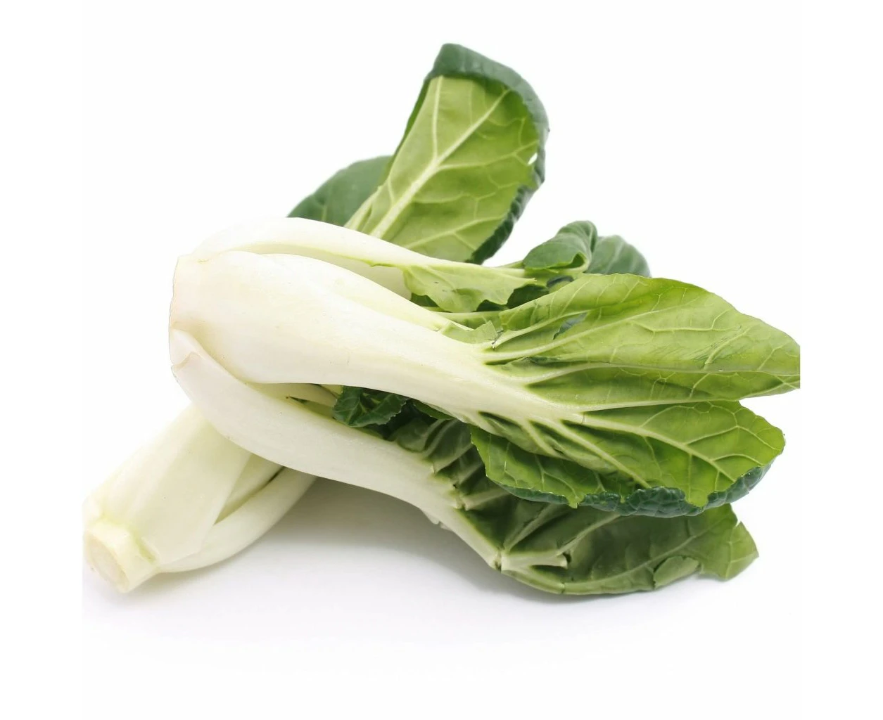 Bok Choy - White Stem (Cantong) seeds