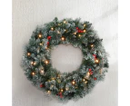 Jingle Jollys 60cm Christmas Wreath LED Lights Snowy Flowers Garland Party Decor