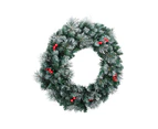 Jingle Jollys 60cm Christmas Wreath LED Lights Snowy Flowers Garland Party Decor