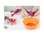 1pcs Cherry Corer