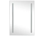 LED Bathroom Mirror Cabinet 50x13x70 cm