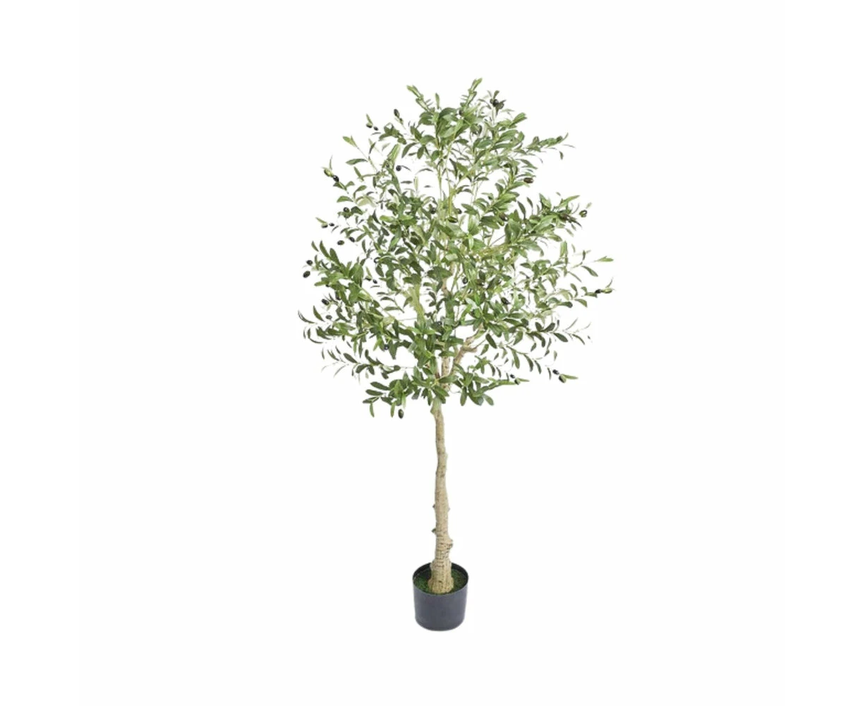 Artificial Olive Tree 6 FT Tall Faux Plant - Secure PE Material & Anti-Tip Tilt Protection - Low-Maintenance Tree for Home (6ft Type2)