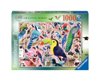 Ravensburger - Amazing Birds Birds1000pc Jigsaw Puzzle - Multi