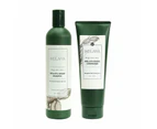 WEILAIYA GINGER SHAMPOO & CONDITIONER SET FOR HAIR & HAIR GROWTH [ FOR OILY HAIR ]