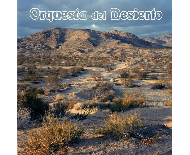 Orquesta del Desierto - Orquesta Del Desierto  [COMPACT DISCS] USA import