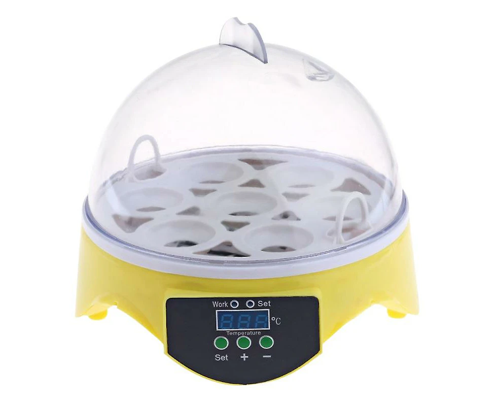 7pcs Egg Incubator