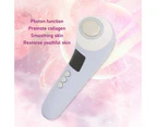 Face Beauty Machine Skin Lifting Promote Absorption Photon Skin Rejuvenation Beauty Instrument Purple