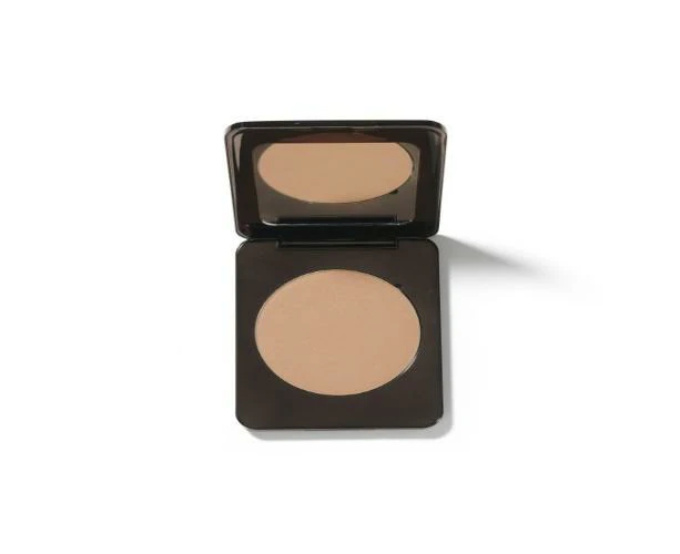 Runway Room Brosh Pan Only Shade Light 14G