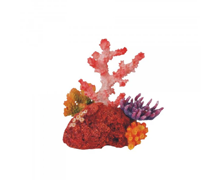 Bioscape Fantasy Cora Garden Ornament 16x15cm (BIS409)