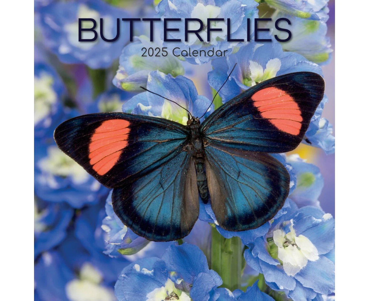 Butterflies - 2025 Square Wall Calendar 16 month by Gifted Stationery