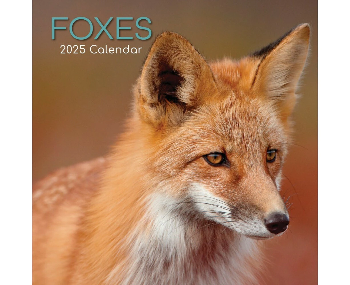 Foxes - 2025 Square Wall Calendar 16 month by Gifted Stationery