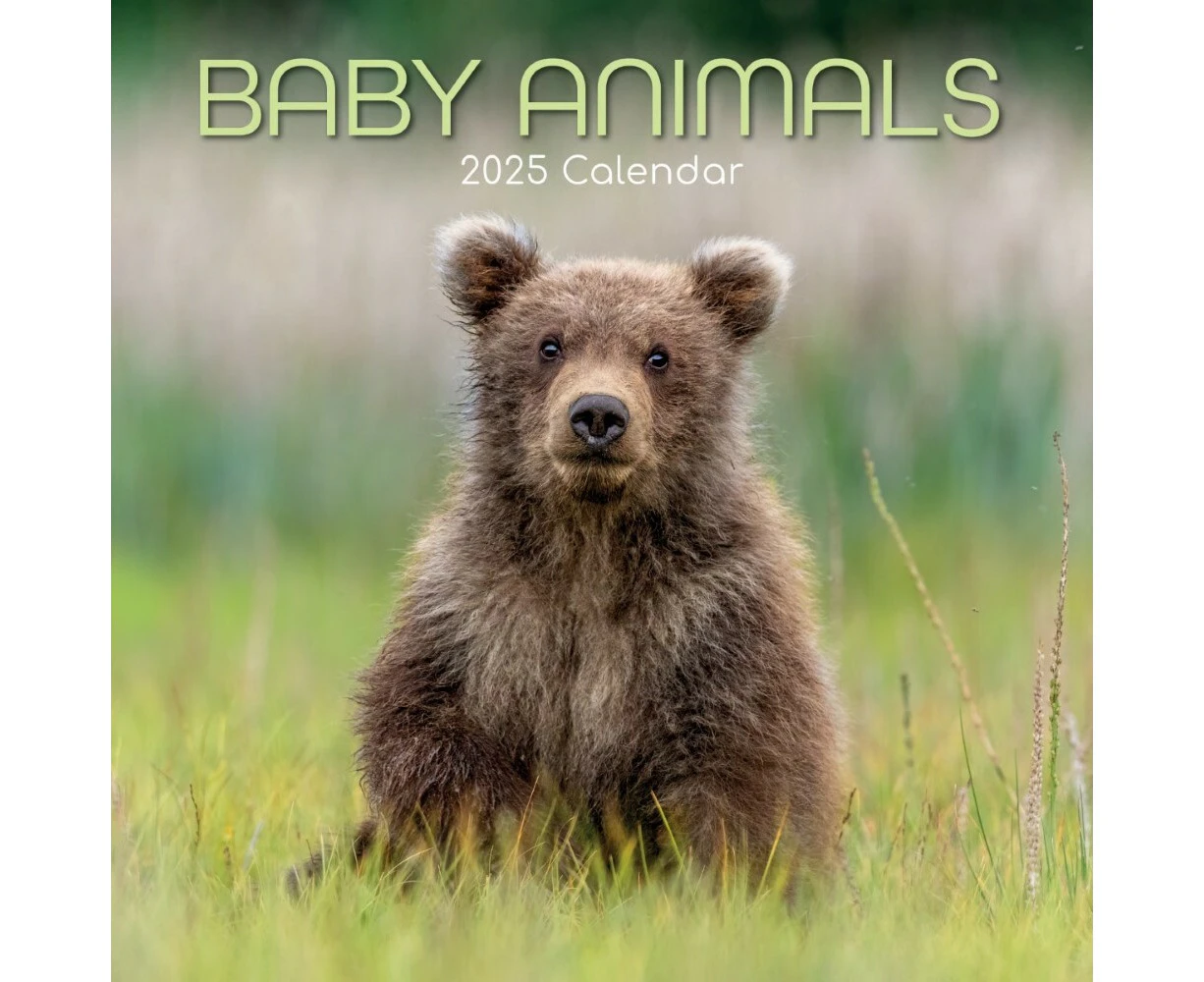 Baby Animals - 2025 Square Wall Calendar 16 month by Gifted Stationery