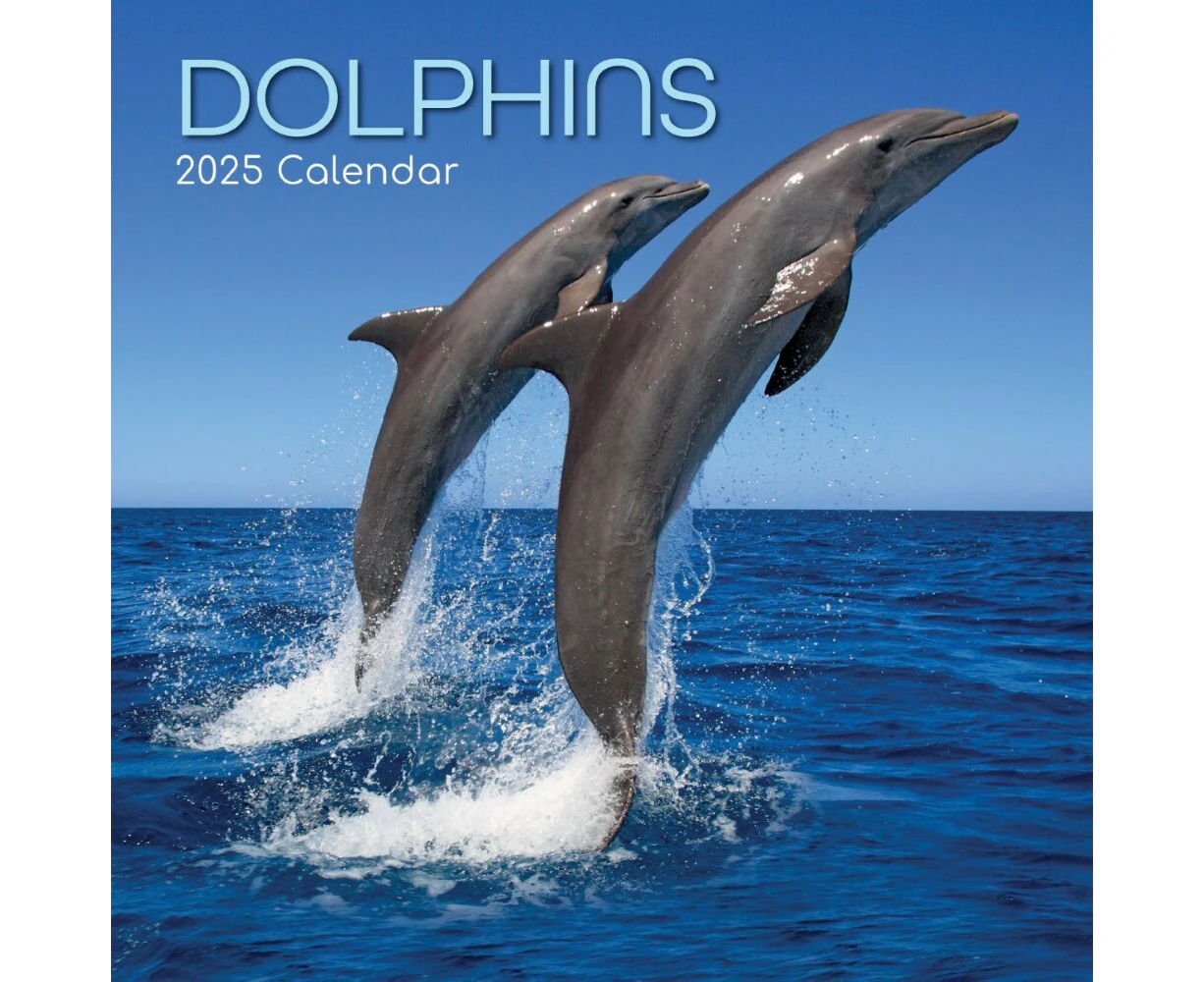 Dolphins - 2025 Square Wall Calendar 16 month by Gifted Stationery