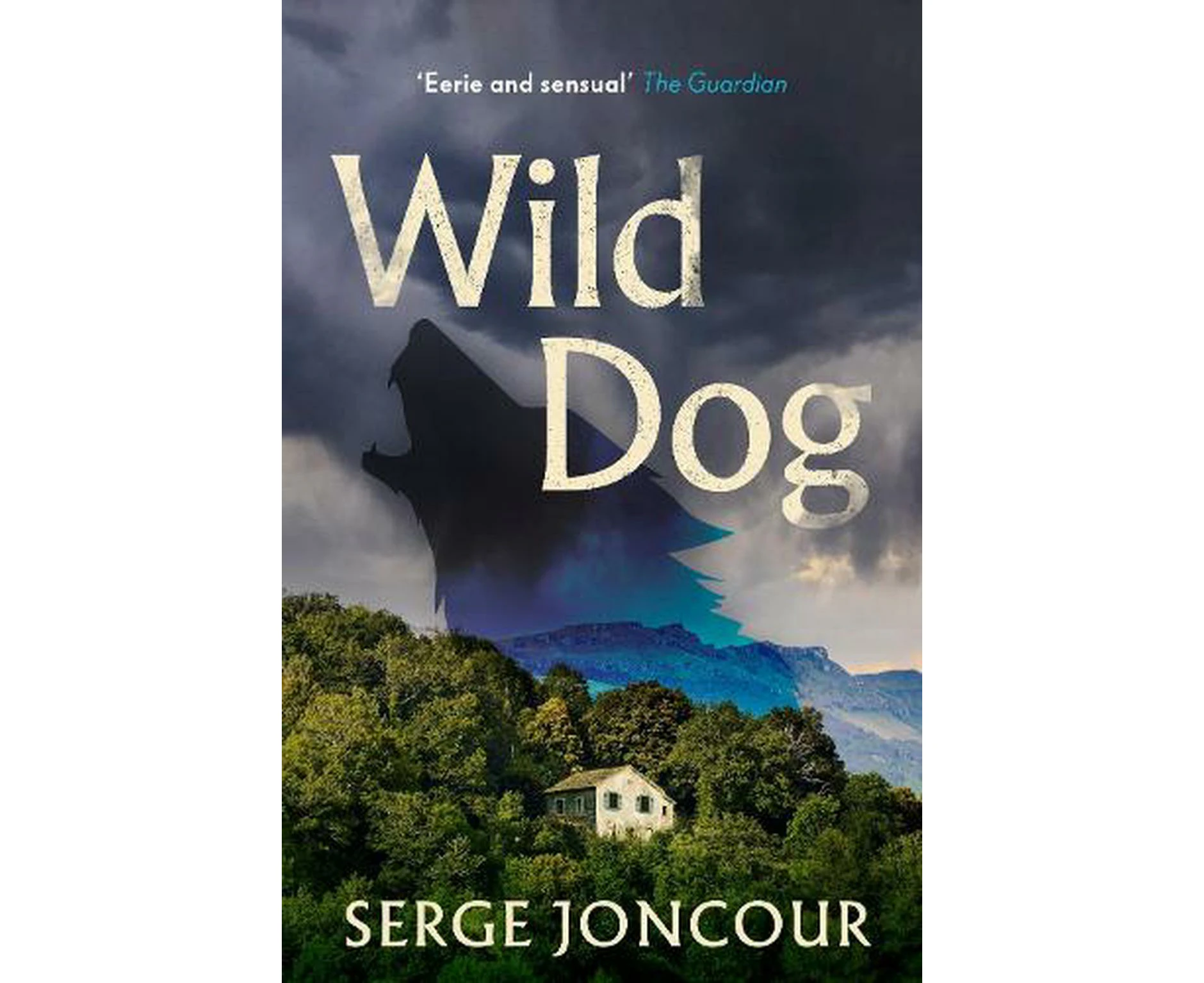 Wild Dog: Sinister and savage psychological thriller