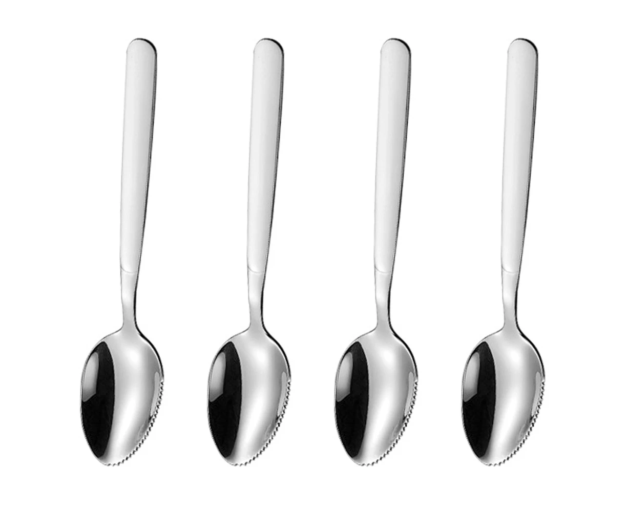 Stainless Steel Tea Spoons, Dessert Spoons Set, Mirror Finish, Dishwasher Safe