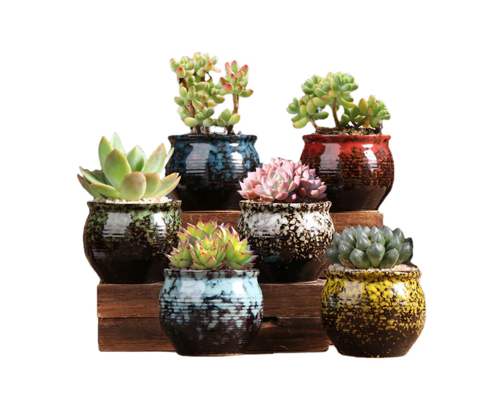 Succulent Garden Pots Adorable Ceramic Planters with Drainage Holes Colorful Set of 6 Plants Not Included