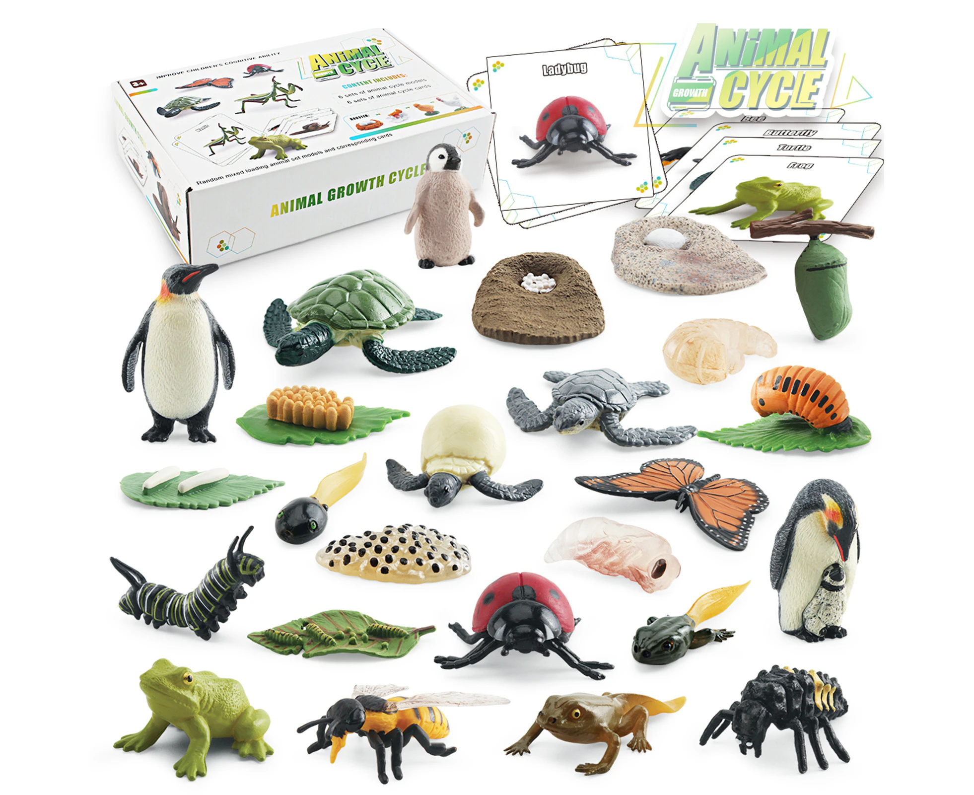 Bisofice Life Cycle Learning & Education Montessori Toys Toddler Education Animal Figures of Frog Butterfly Chicken Penguin Bee Turtle 25PCS Craft Model