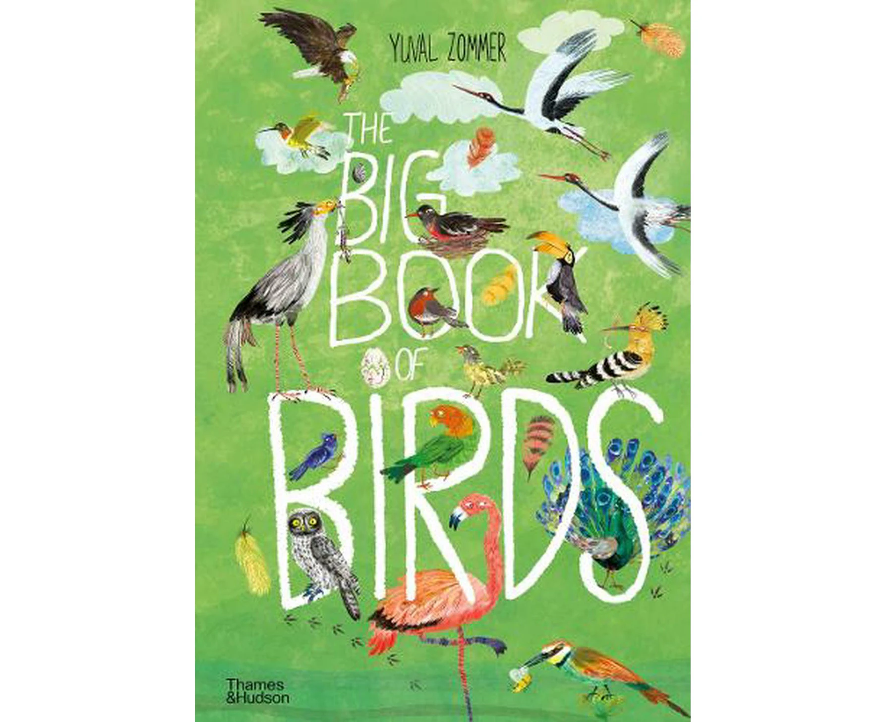 Big Book of Birds