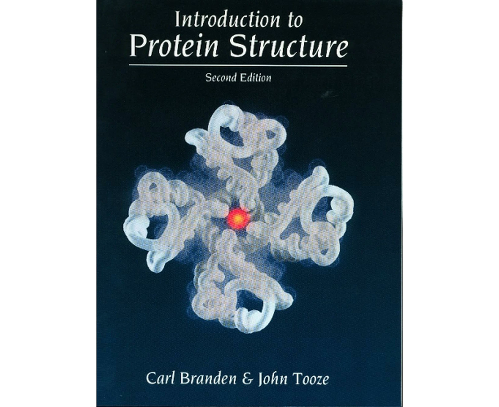 Introduction to Protein Structure