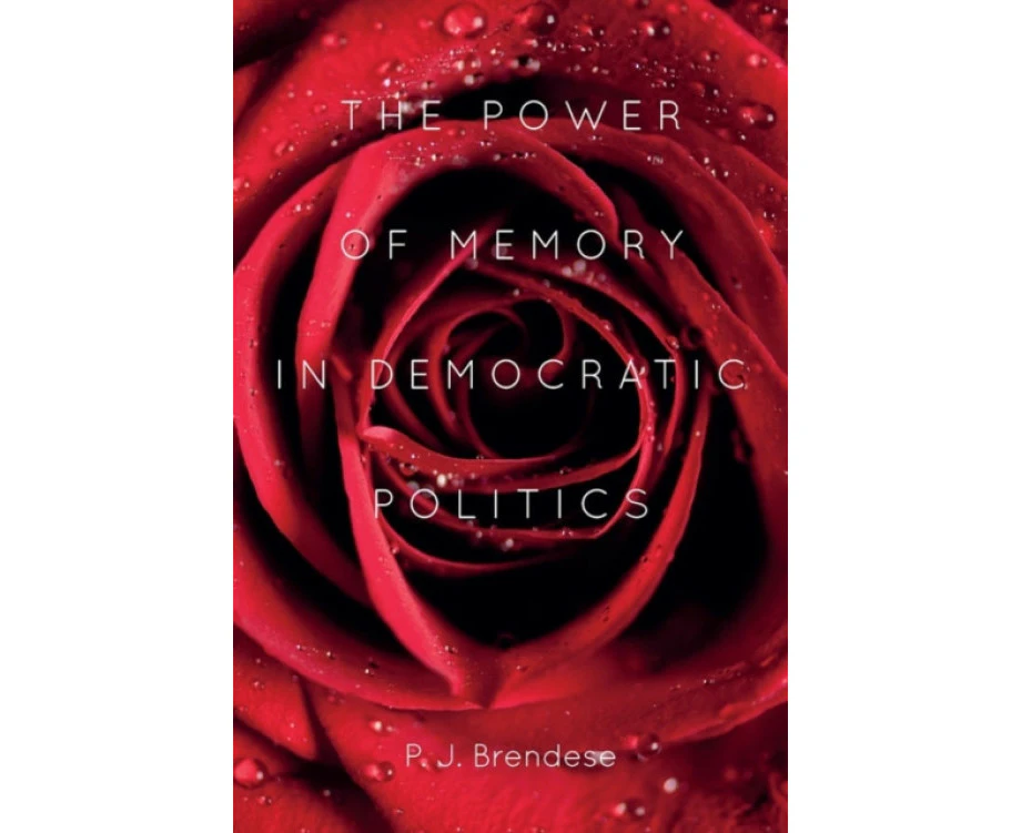 The Power of Memory in Democratic Politics by P. J. Customer Brendese