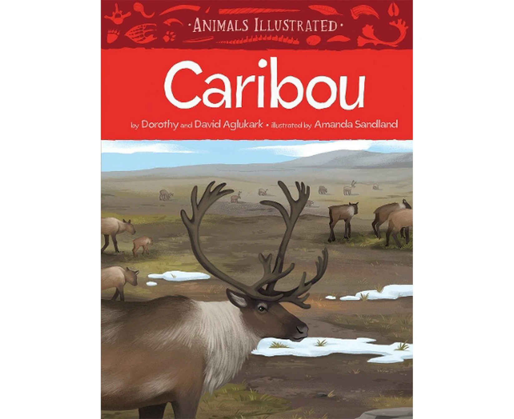 Animals Illustrated: Caribou