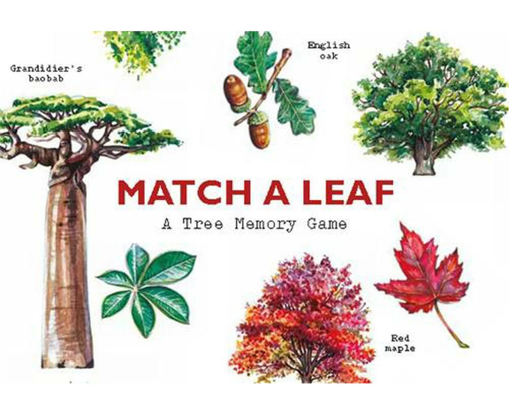 Match a Leaf