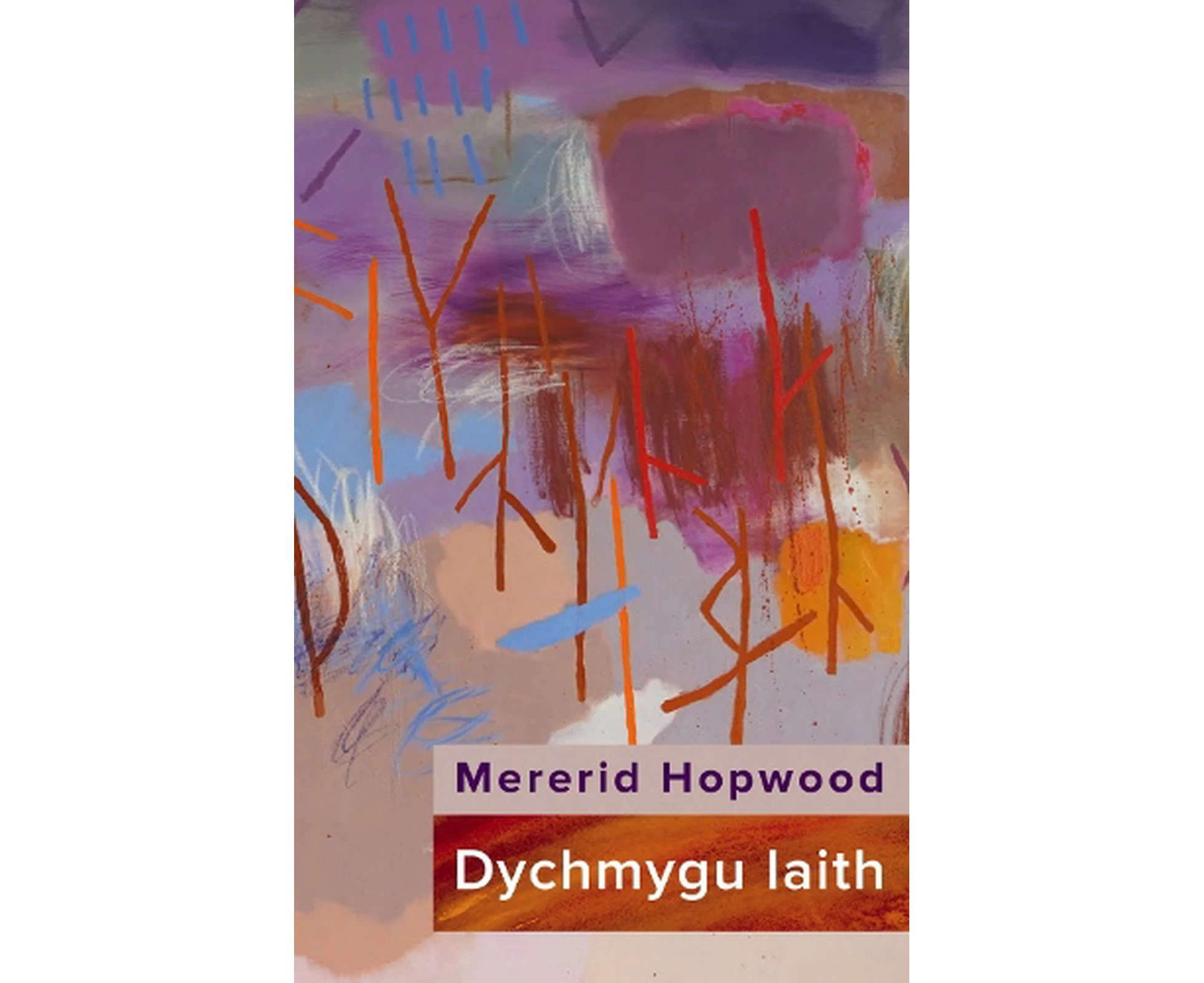 Dychmygu Iaith