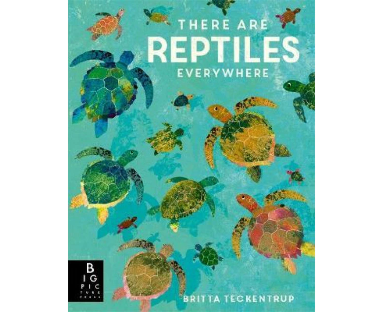 There are Reptiles Everywhere by Camilla De La Bedoyere