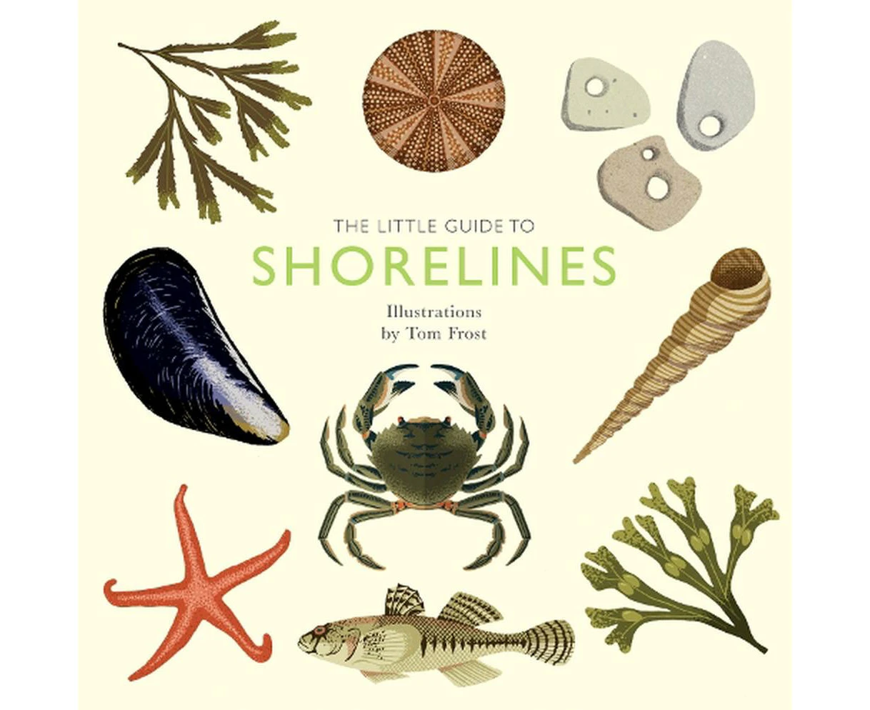 The Little Guide to Shorelines