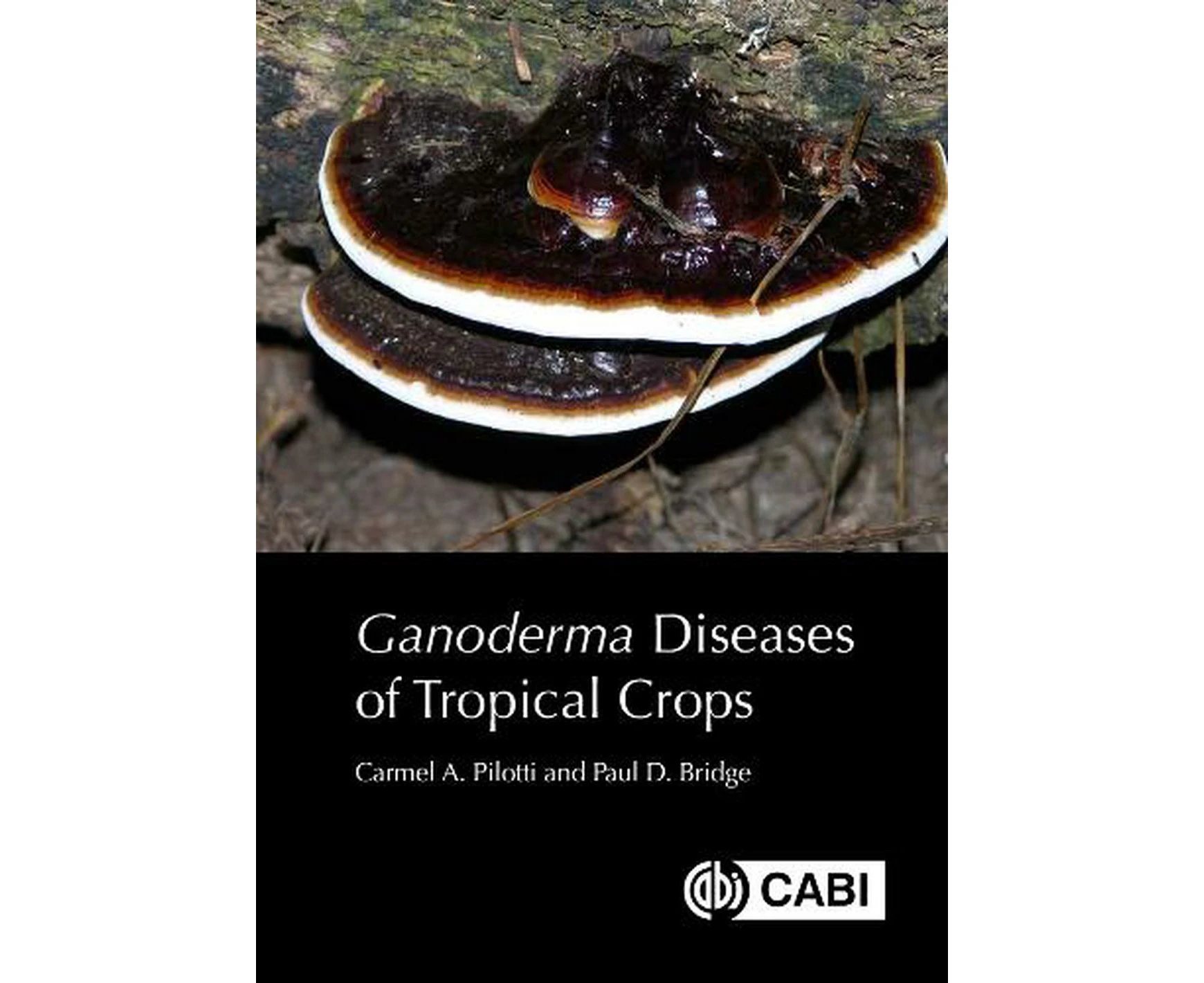 Ganoderma Diseases of Tropical Crops