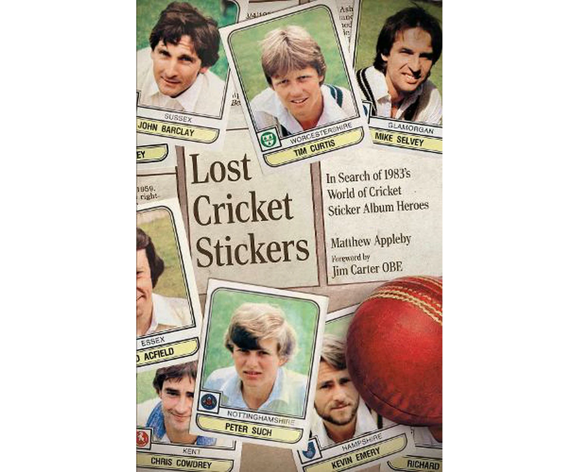 Lost Cricket Stickers