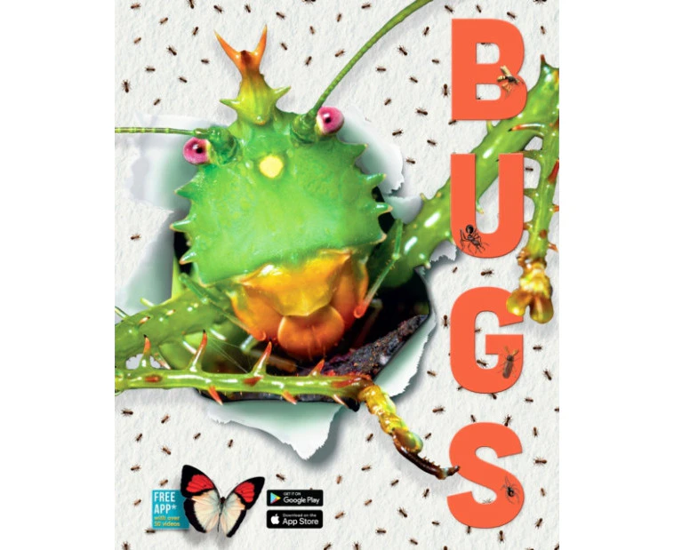 Bugs by Elizabeth Cranford