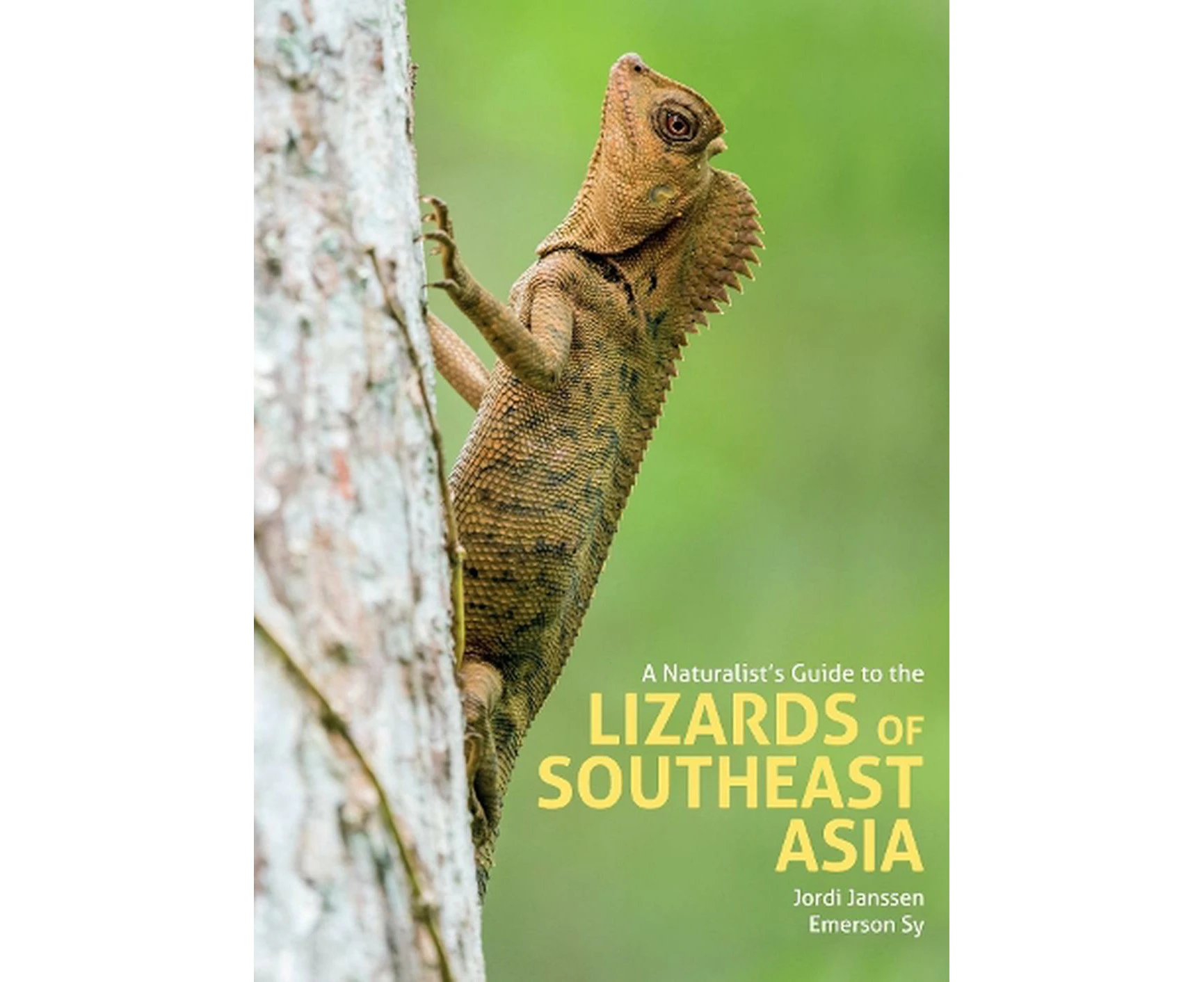 A Naturalist's Guide to the Lizards of Southeast Asia