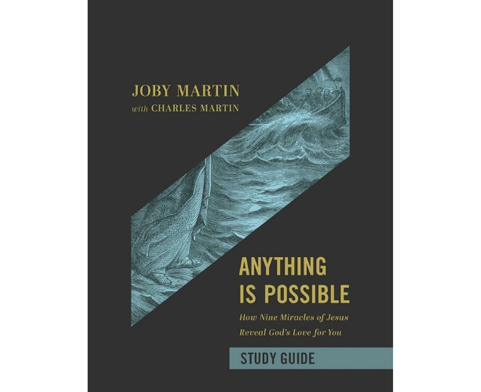 Anything Is Possible Study Guide