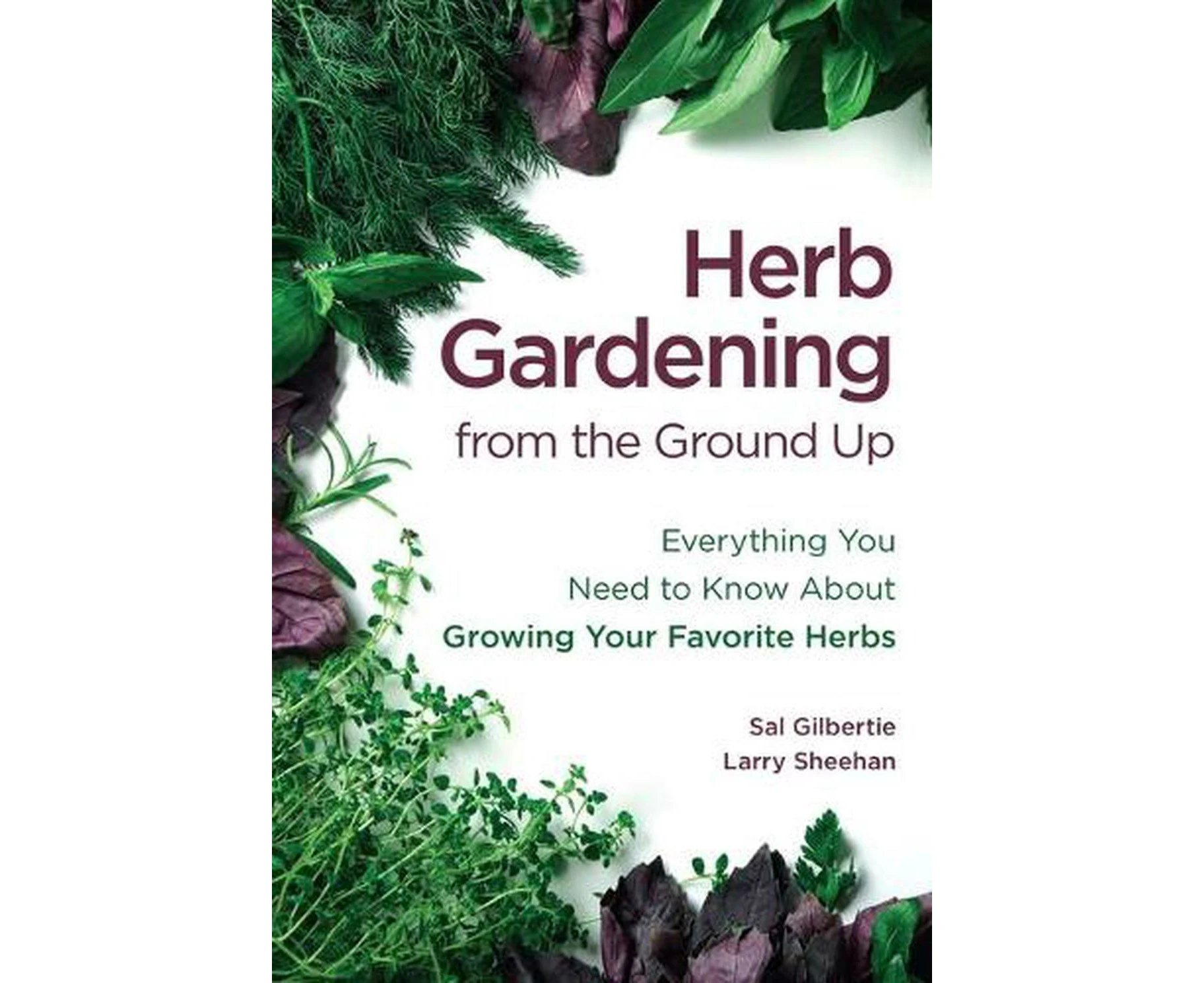 Herb Gardening from the Ground Up