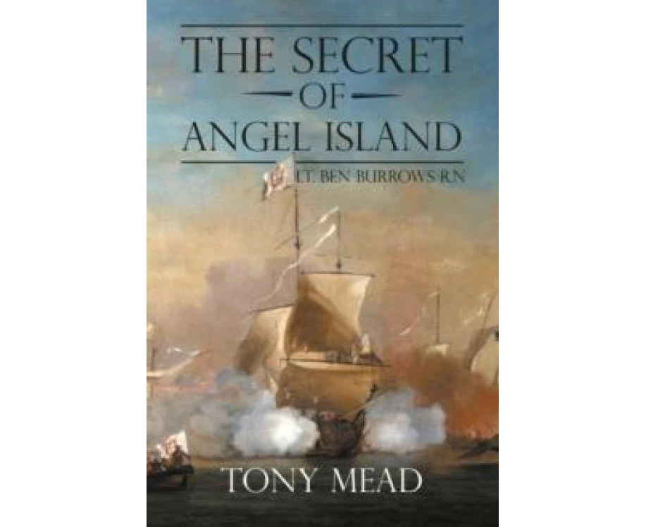 The Secret of Angel Island by Tony Mead