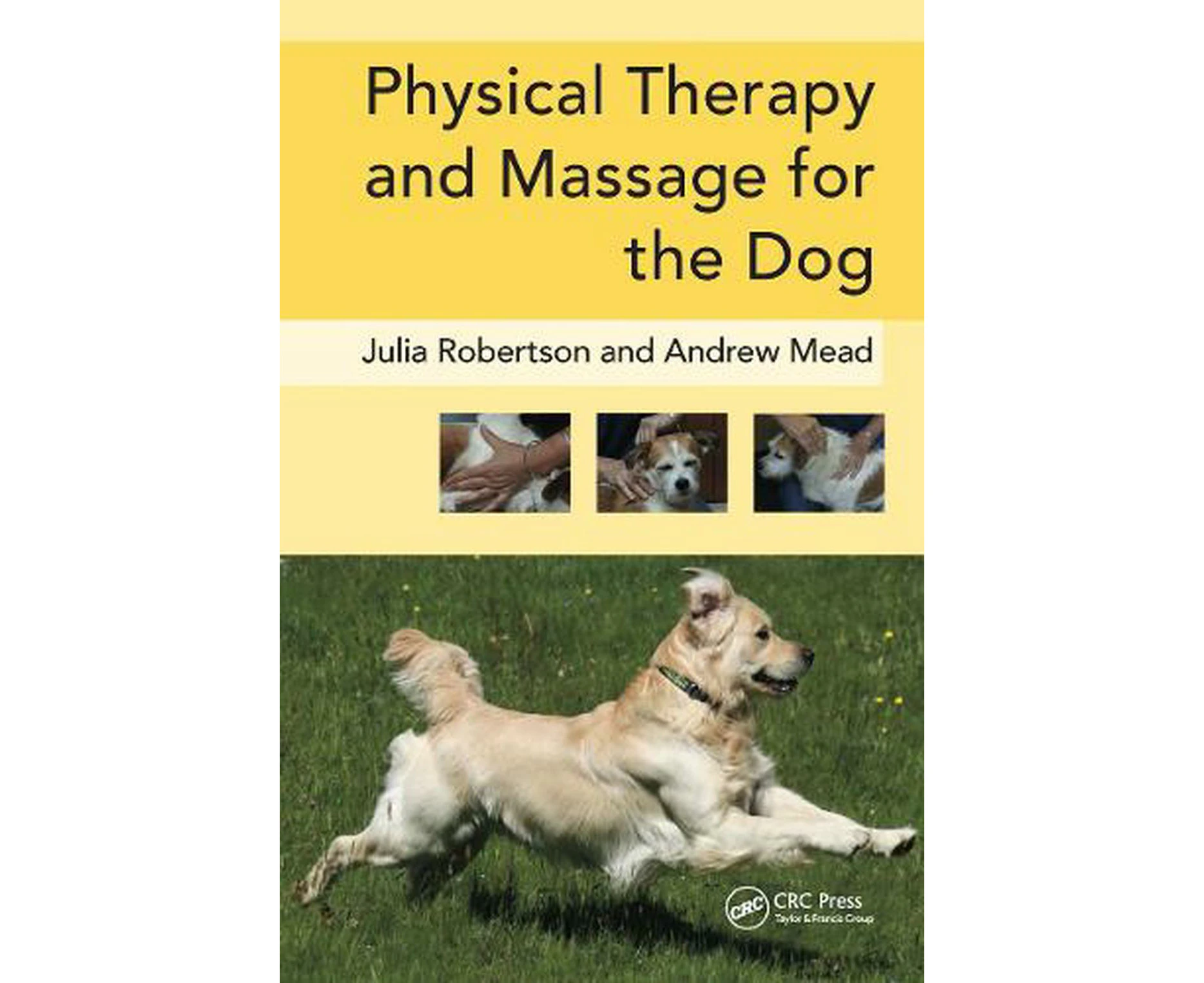 Physical Therapy and Massage for the Dog