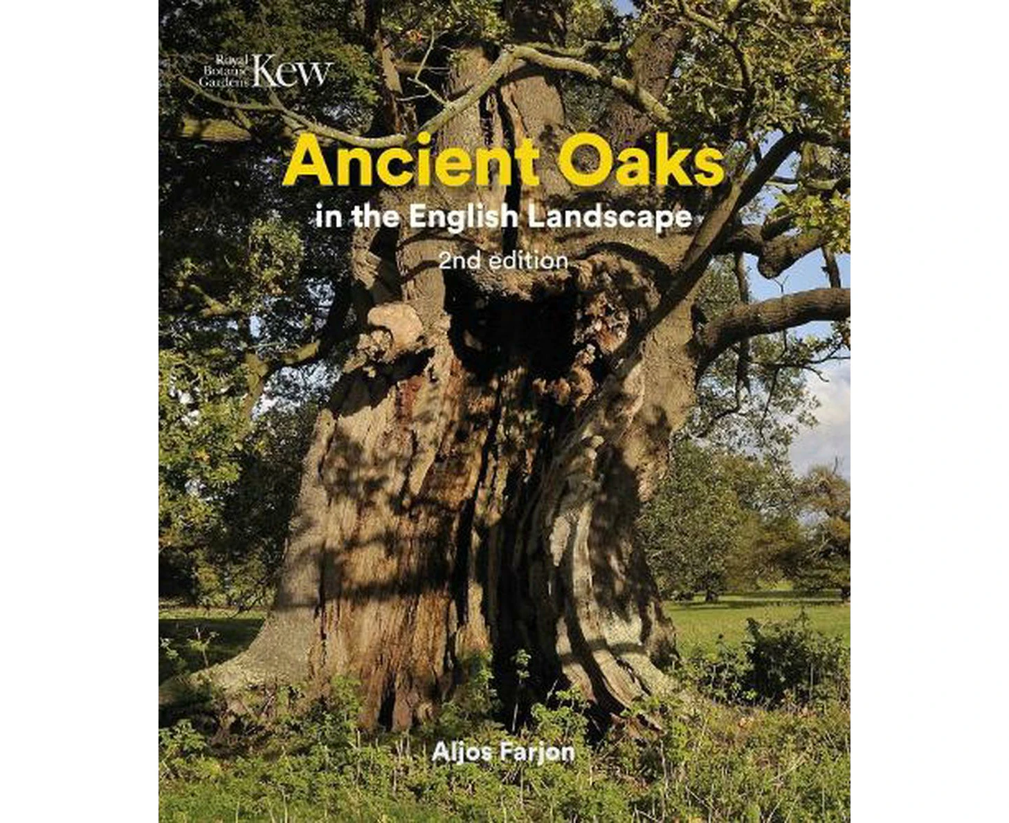 Ancient Oaks in the English Landscape