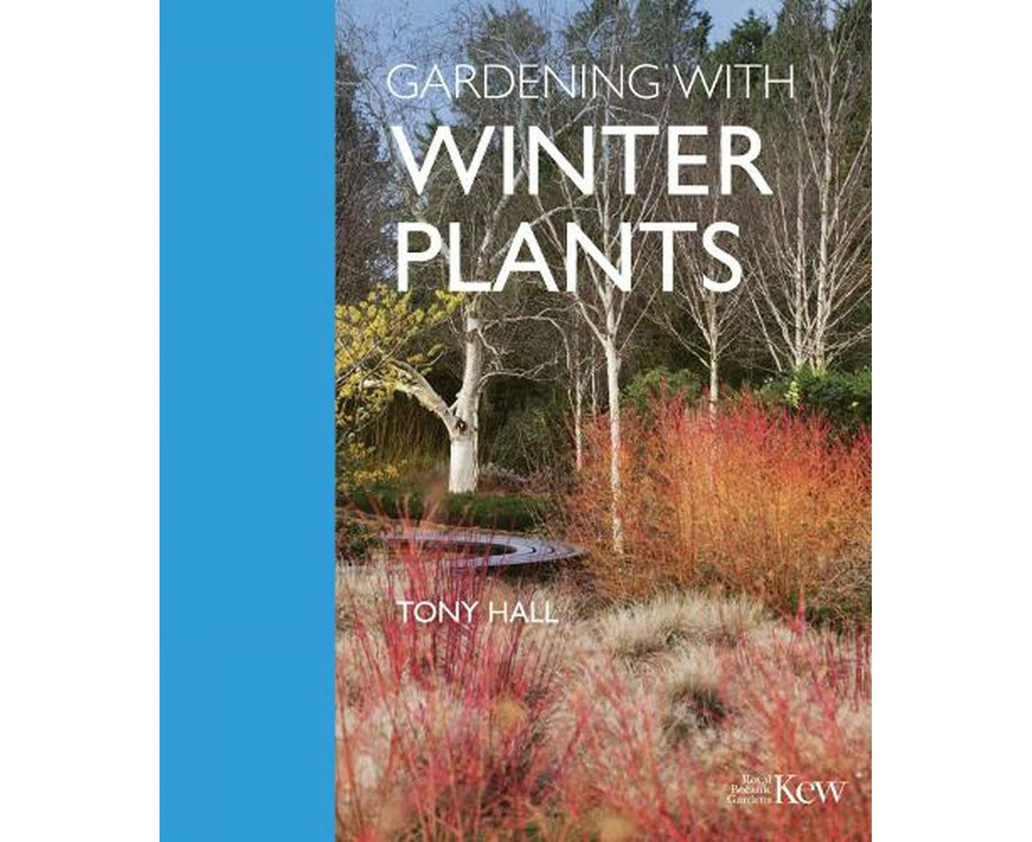 Gardening with Winter Plants