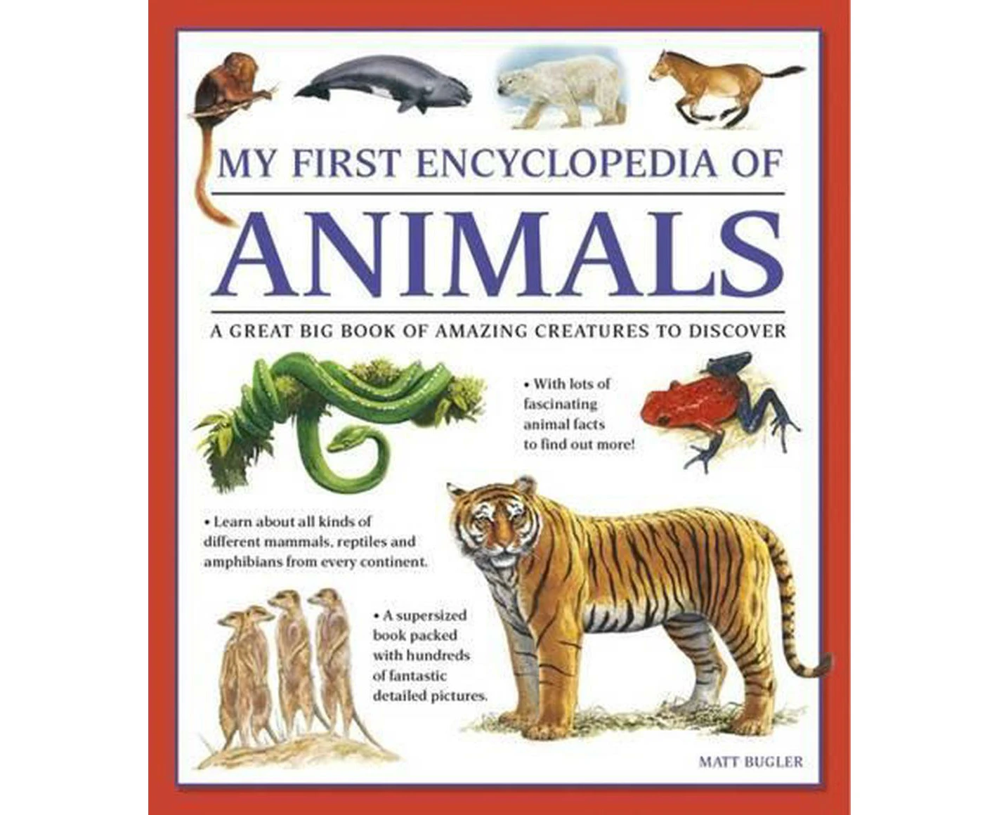 My First Encyclopedia of Animals (giant Size)