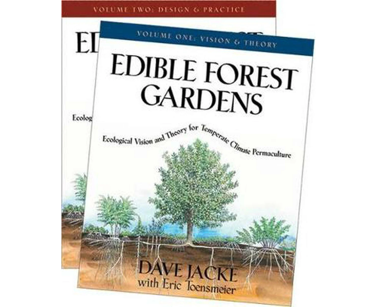 Edible Forest Gardens: 2 Volume Set