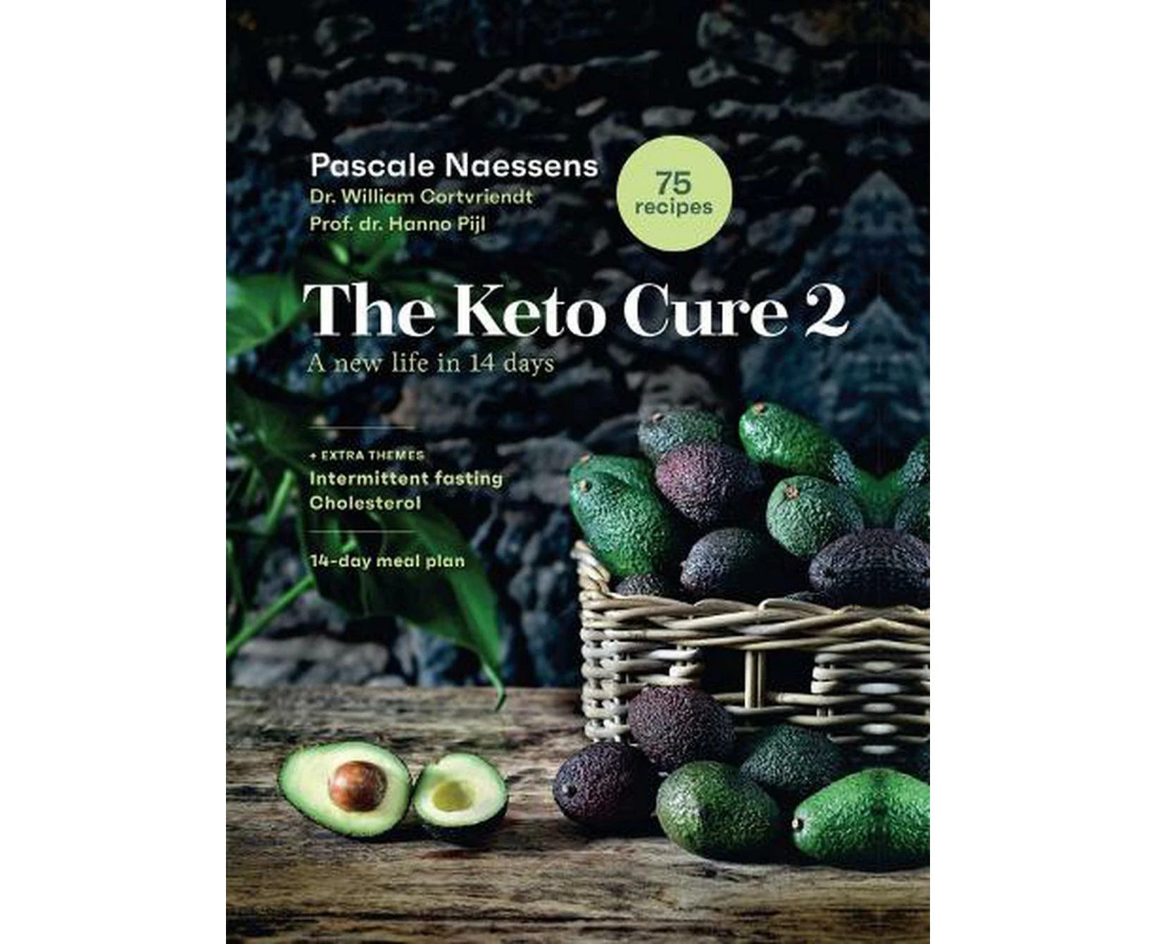 The Keto Cure 2