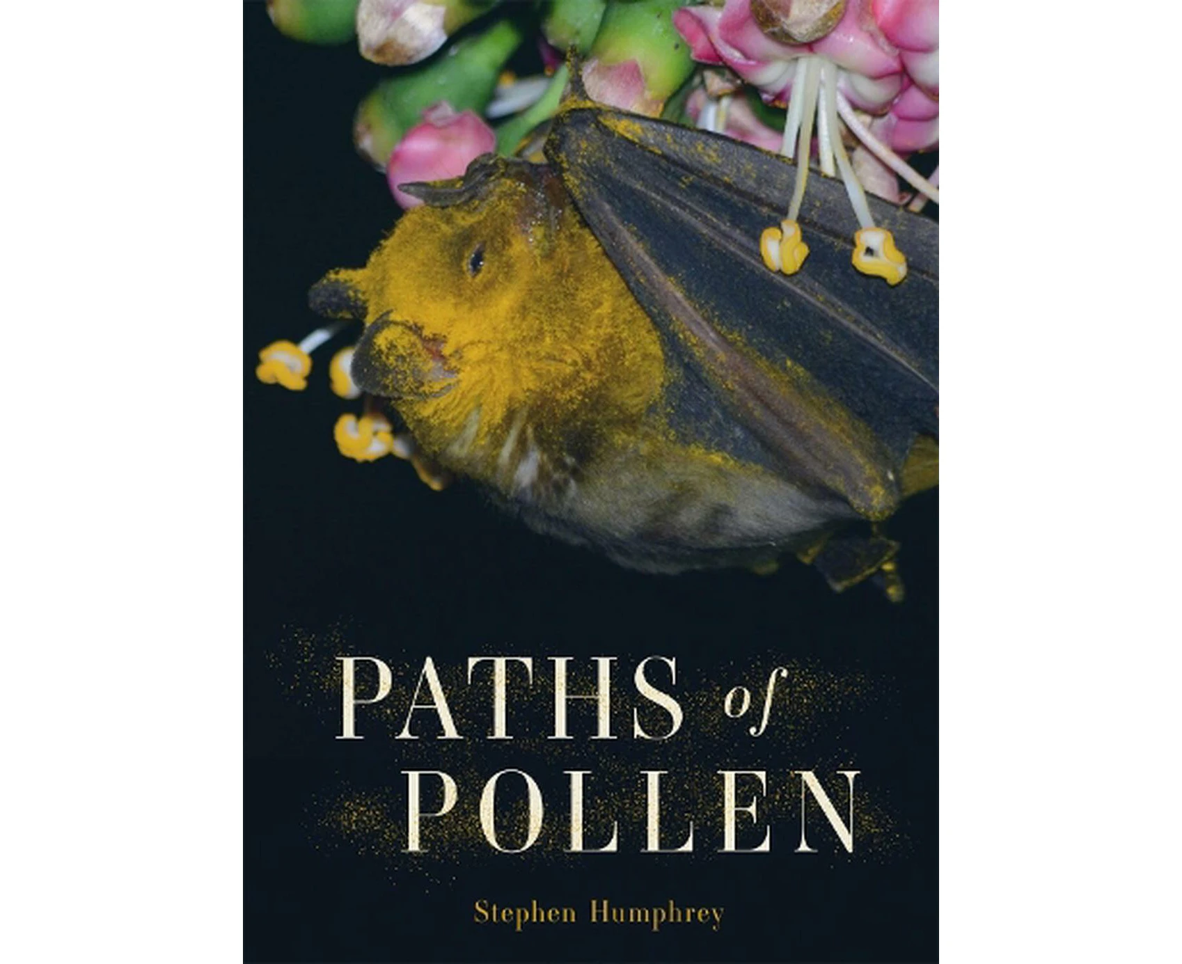 Paths of Pollen