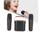 Mini Karaoke Machine Stereo Portable RGB Light Bluetooth Speaker with 2 Wireless Microphone for Home Party Black