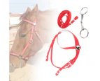 PVC Adjustable Horse Bridle Rein Harness Headstalls Removable Stainless Steel Hollow Snaffle