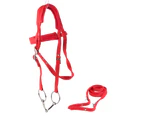 Adjustable Horse Bridle Rein Harness Headstalls with Soft Cushion Red